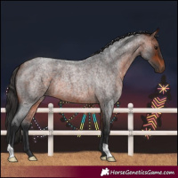 Horse Color:Bay Roan