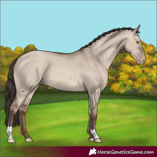 Horse Color:Sable Champagne Dun