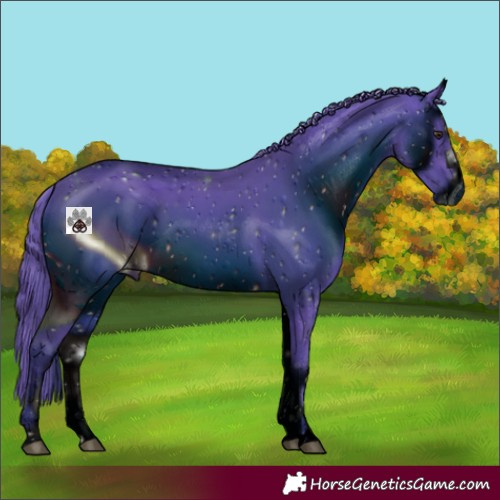 Horse Color:ERROR: UNKNOWN ANOMALY