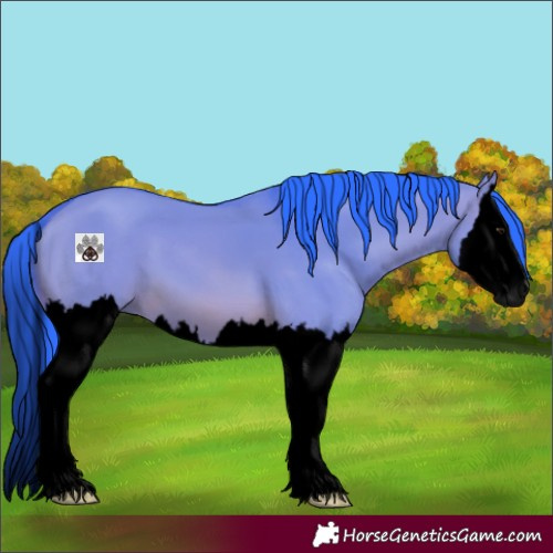 Horse Color:Gray Void Watercolor Bay Dun Splash 