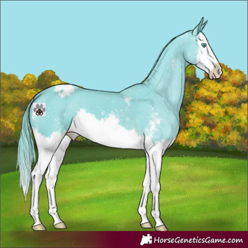 Horse Color:Watercolor Liver Chestnut Sabino Splash Varnish