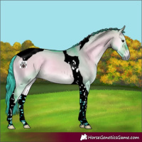 Horse Color:Watercolor Bay Onyx Tobiano 