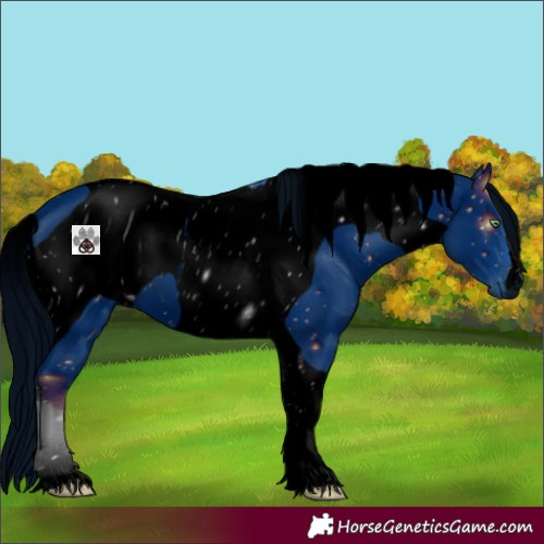 Horse Color:ERROR: UNKNOWN ANOMALY