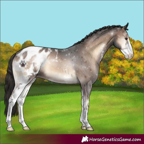 Horse Color:Liver Red Onyx Sabino Blanket 