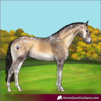 Horse Color:Gray Bay Ice Onyx 