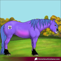 Horse Color:Painted Watercolor Chestnut