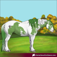Horse Color:Watercolor Grullo Sabino Tobiano 
