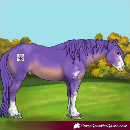 Horse Color:Watercolor Black Sabino