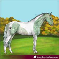 Horse Color:Watercolor Silver Bay Ice Tobiano Rabicano