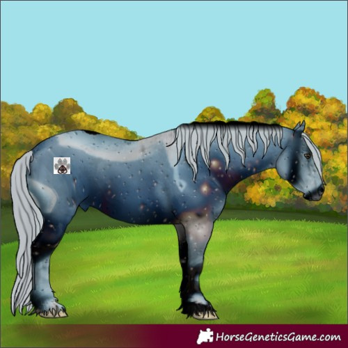Horse Color:ERROR: UNKNOWN ANOMALY