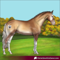 Horse Color:Gray Silver Classic Champagne Onyx Tobiano 