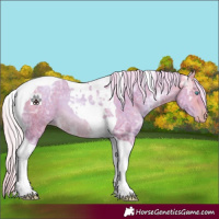 Horse Color:Watercolor Silver Buckskin Ice Pearl Tobiano