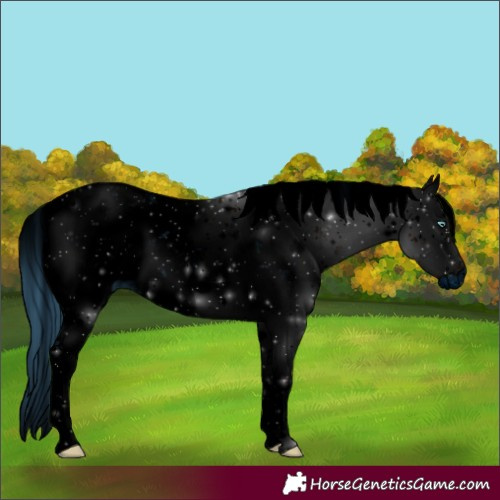Horse Color:ERROR: UNKNOWN ANOMALY