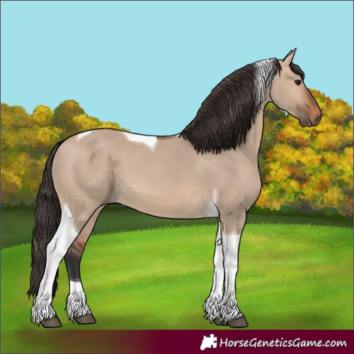 Horse Color:Bay Dun Tobiano 