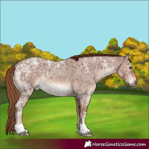 Horse Color:Red Ice Roan 