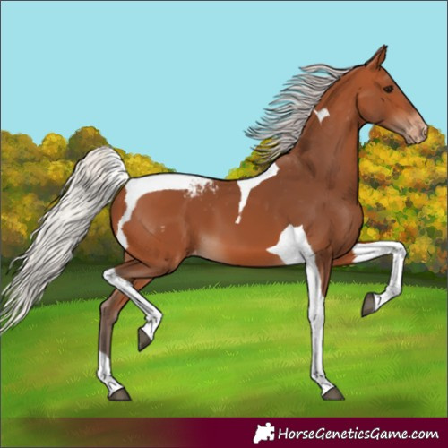 Horse Color:Silver Bay Tobiano Varnish
