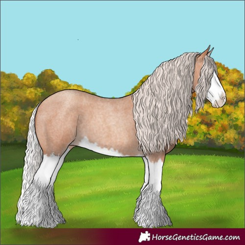 Horse Color:Silver Sable Champagne Roan Splash 