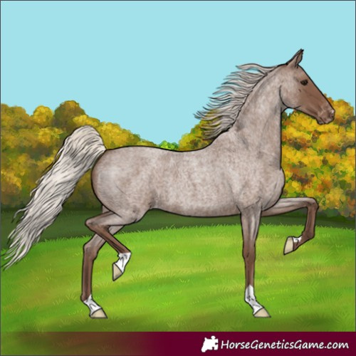Horse Color:Silver Blue Roan Varnish