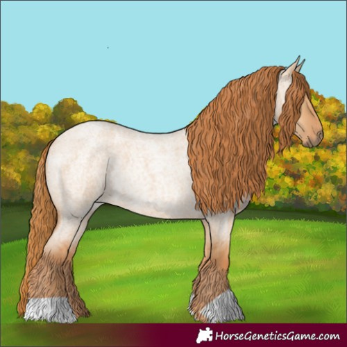 Horse Color:Red Dun Roan Rabicano 