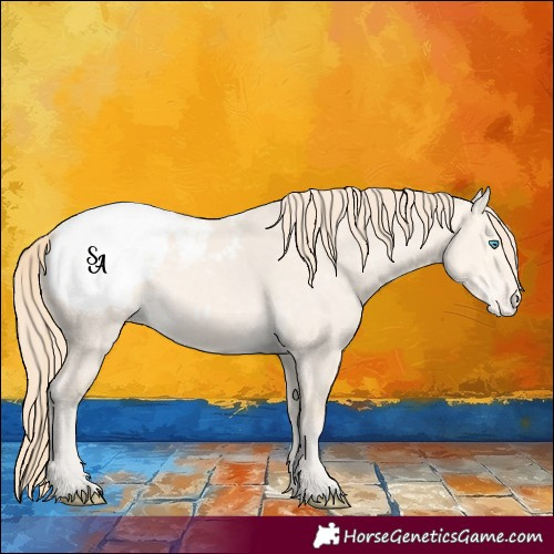 Horse Color:Perlino Dun Appaloosa