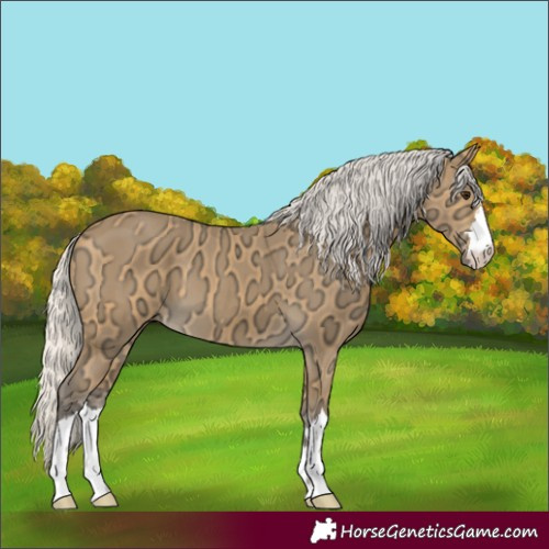 Horse Color:Silver Buckskin Ice 