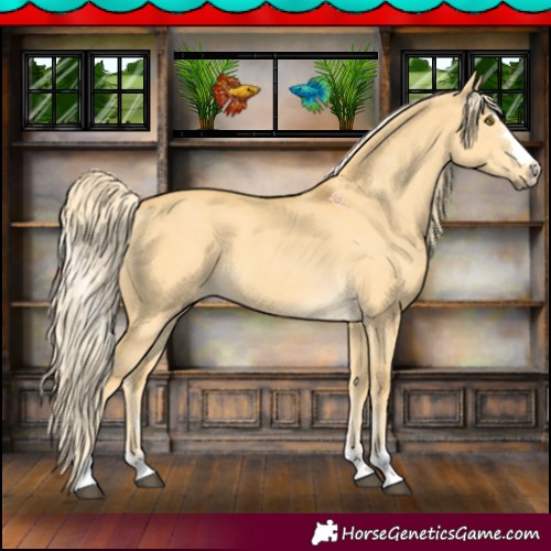 Horse Color:Palomino Dun 