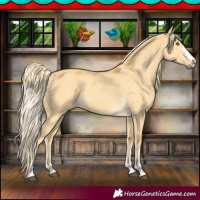 Horse Color:Palomino Dun 