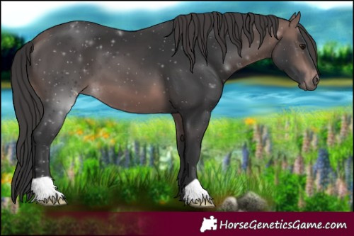 Horse Color:Platinum Bay 
