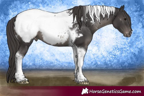 Horse Color:Smoky Black Tobiano Near Fewspot 