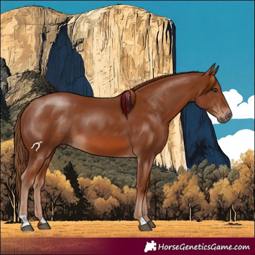 Horse Color:Chestnut 