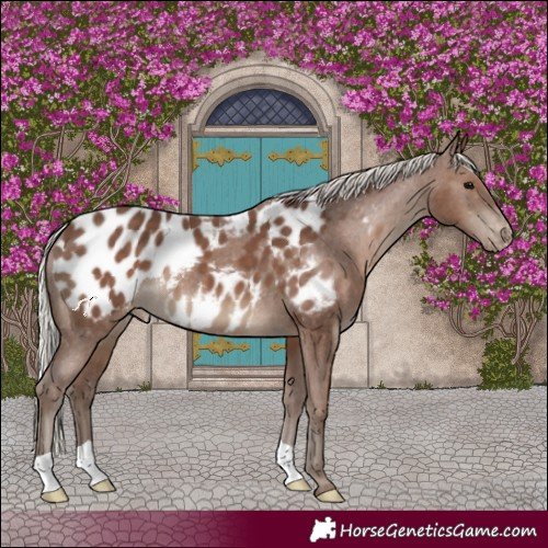 Horse Color:Silver Black Blanket 