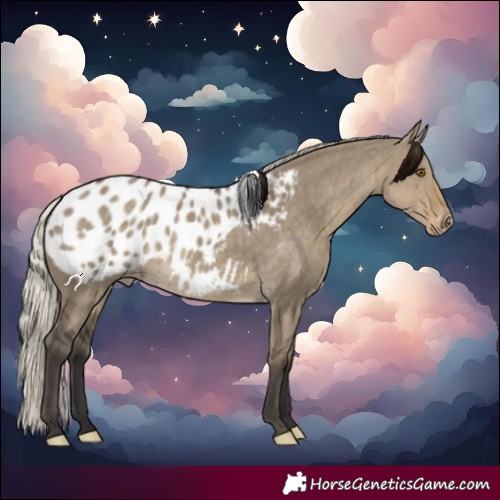 Horse Color:Silver Smoky Grullo Blanket 