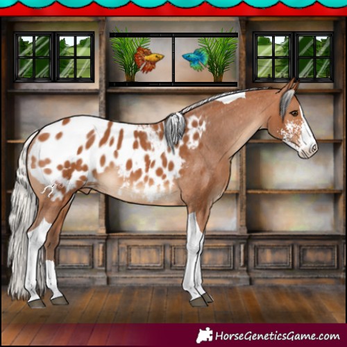 Horse Color:Silver Bay Sabino Tobiano Blanket 
