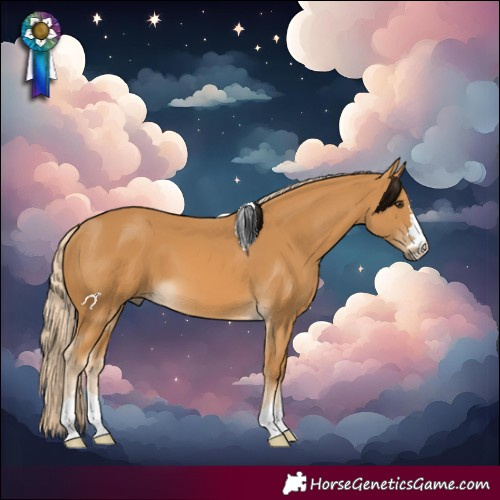 Horse Color:Palomino 