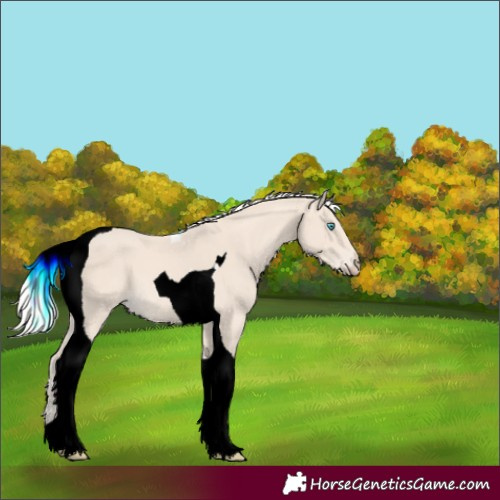 Horse Color:Cremello Tobiano