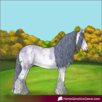 Horse Color:Watercolor White Spotted Brown Ice Onyx Sabino