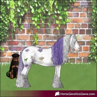 Horse Color:Watercolor Blue Onyx Ice Sabino Splash