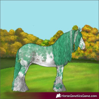 Horse Color:Watercolor White Spotted Brown Ice Sabino Appaloosa 