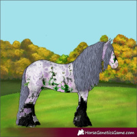 Horse Color:Watercolor Black Ice Sabino 