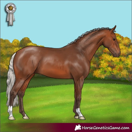 Horse Color:Silver Brown 