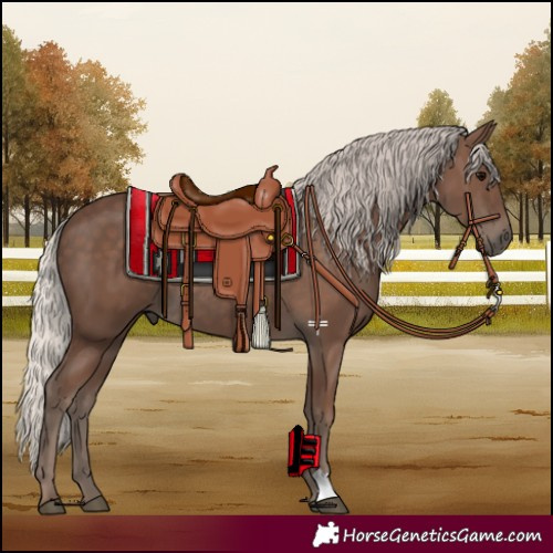 Horse Color:Silver Black 