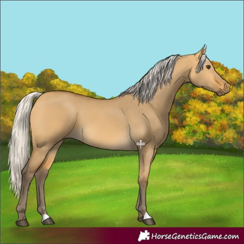 Horse Color:Silver Buckskin Dun 