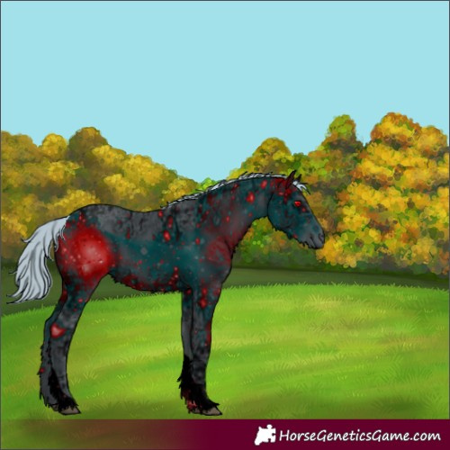 Horse Color:ERROR: UNKNOWN ANOMALY