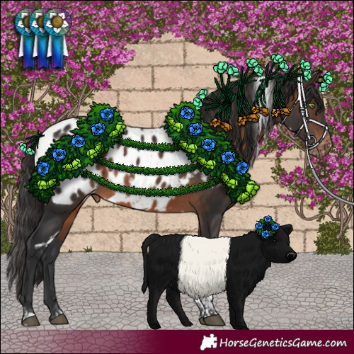 Horse Color:White Spotted Brown Tobiano Blanket 