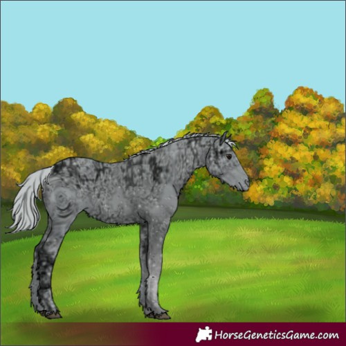 Horse Color:ERROR: UNKNOWN ANOMALY