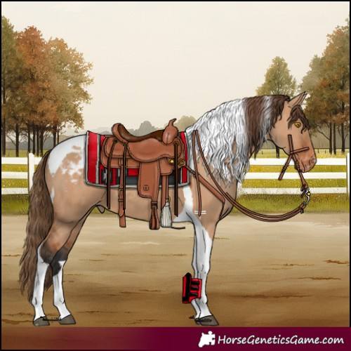Horse Color:Bay Dun Tobiano Varnish 