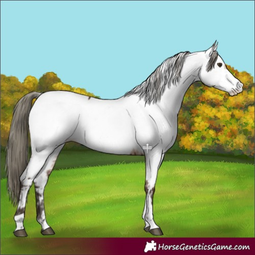 Horse Color:Liver Red Dun Mushroom Fewspot Brindle 