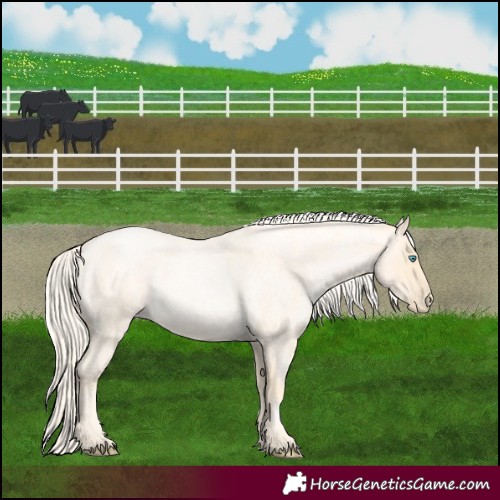 Horse Color:Palomino Roan Pearl and Palomino Roan Pearl