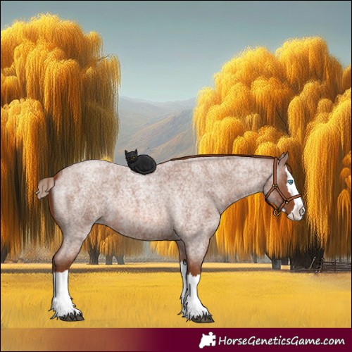 Horse Color:Red Roan Splash 