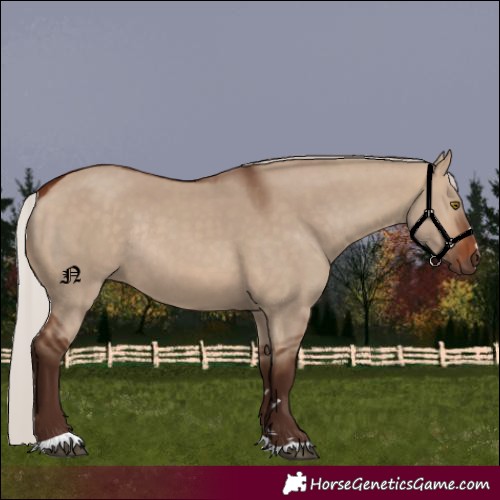 Horse Color:Silver Brown Dun Rabicano 